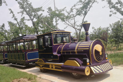 The outstanding features of Dinis tourist trackless train