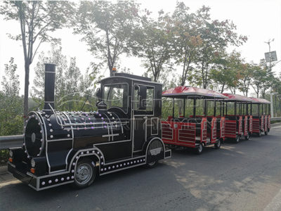 What is sightseeing train ride?