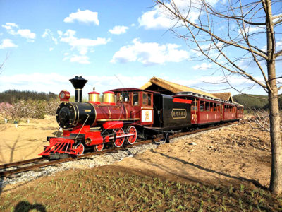 Tourist track train ride for sale