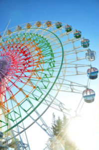 Ferris wheel ride for sale